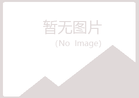 临沂兰山无果化学有限公司